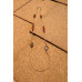 Orange and Brown Eye-Glass Chain